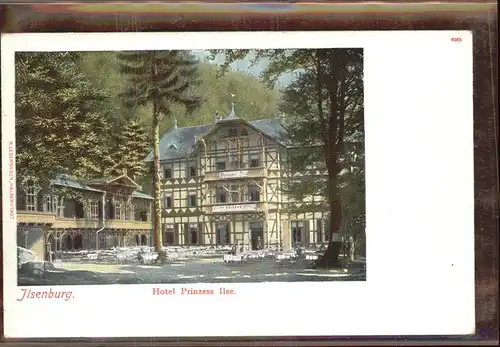 Ilsenburg Harz Hotel Prinzess Ilse Kat. Ilsenburg Harz