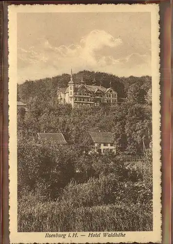 Ilsenburg Harz Hotel Waldhoehe Kat. Ilsenburg Harz