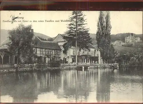 Ilsenburg Harz Hotel zu den roten Forellen am Forellenteich Kat. Ilsenburg Harz