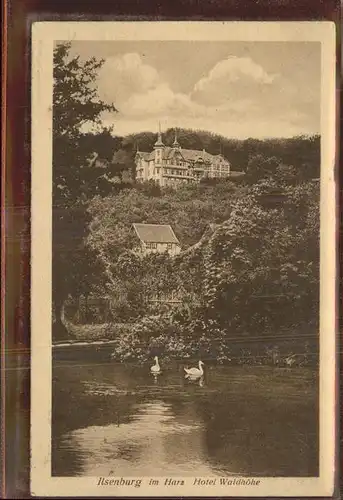 Ilsenburg Harz Hotel Waldhoehe Teich Kat. Ilsenburg Harz