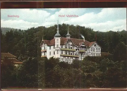 Ilsenburg Harz Hotel Waldhoehe Kat. Ilsenburg Harz