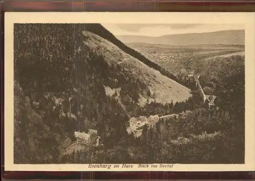 Ilsenburg Harz Blick ins Ilsetal Kat. Ilsenburg Harz