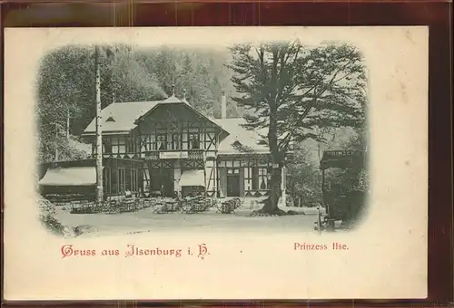 Ilsenburg Harz Hotel Prinzess Ilse Kat. Ilsenburg Harz