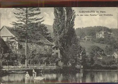 Ilsenburg Harz Hotel zu den roten Forellen und Waldhoehe Kat. Ilsenburg Harz