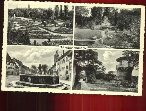 Sangerhausen Suedharz Rosarium Heideroeslein Husarenpfoertchen Marktplatz Brunnen Kat. Sangerhausen