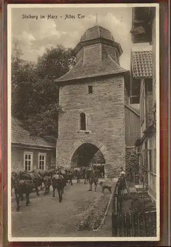 Stolberg Harz Altes Tor Rittergasse Turm Kuh Viehtrieb Kat. Stolberg Harz