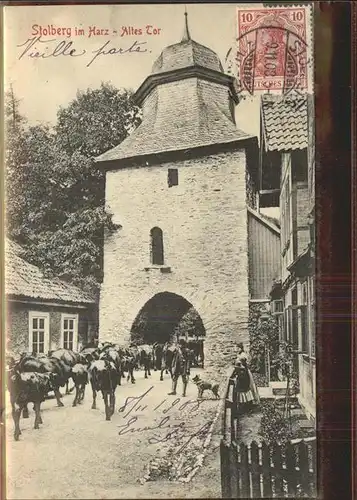 Stolberg Harz Altes Stadttor Rittergasse Turm Kuh Viehtrieb Stempel auf AK Kat. Stolberg Harz
