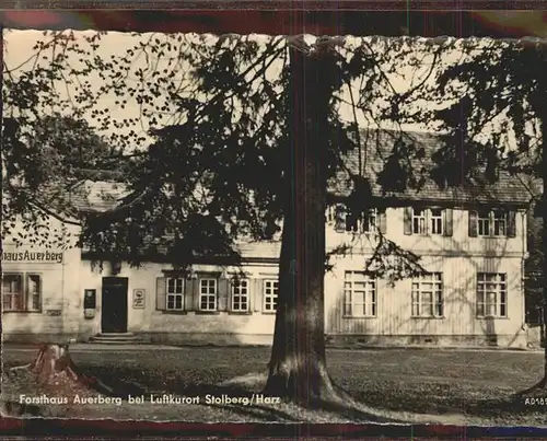 Stolberg Harz Forsthaus Auerberg Luftkurort Kat. Stolberg Harz