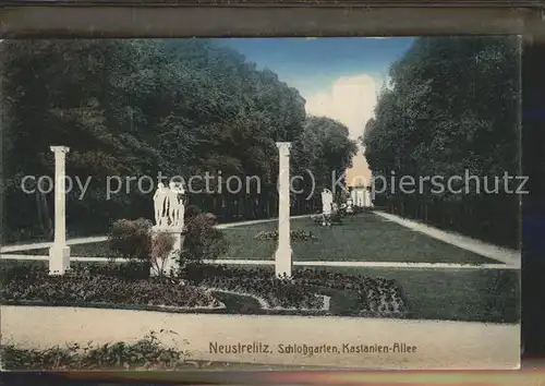 Neustrelitz Grossherz?glicher Schlossgarten Kastanienallee Kat. Neustrelitz
