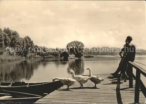 Koelpinsee Usedom Partie am See Kat. Usedom