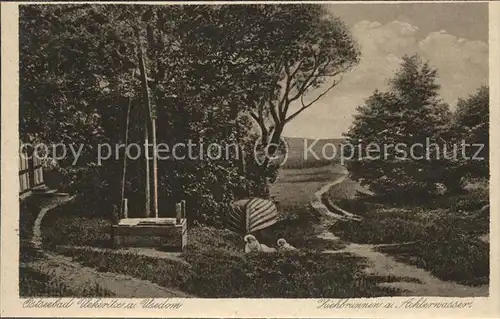 ueckeritz Usedom Ziehbrunnen am Achterwasser Kat. ueckeritz Usedom