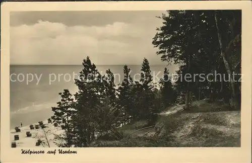 Koelpinsee Usedom Strand mit Waldgebiet Kat. Usedom