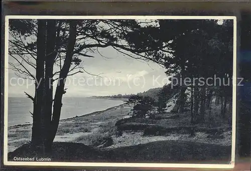 Lubmin Ostseebad Strand mit Waldgebiet / Lubmin /Ostvorpommern LKR