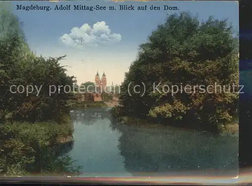 Magdeburg Adolf Mittag See Dom Kat. Magdeburg