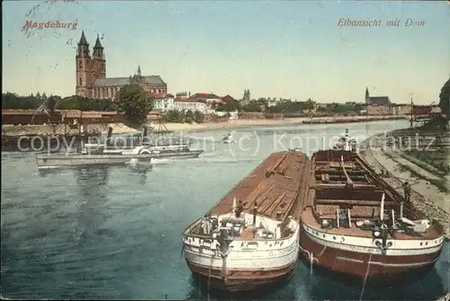 Magdeburg Elbe Dom Schiffe Schaufelraddampfer Kat. Magdeburg