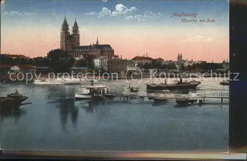 Magdeburg Elbpartie Dom Schiffe Kat. Magdeburg