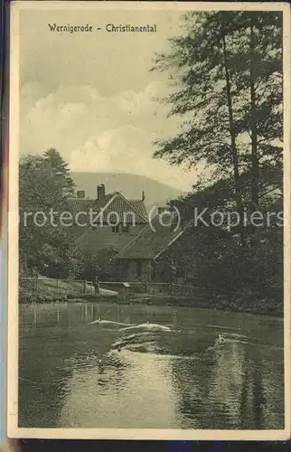 Wernigerode Harz Forsthaus u.Teich im Christianental Kat. Wernigerode