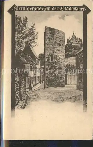 Wernigerode Harz Alte Stadtmauern Kat. Wernigerode