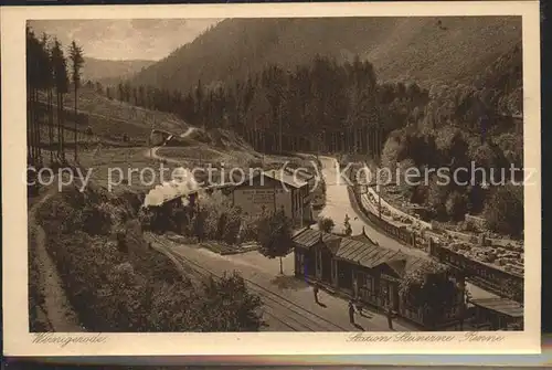 Wernigerode Harz Bahnhof Steinere Renne Kat. Wernigerode