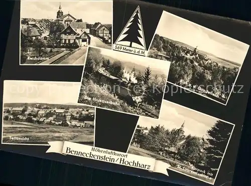 Benneckenstein Harzquerbahn Gondelteich Kurpark Kat. Benneckenstein