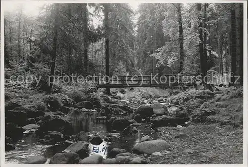 Elend Harz Bodebruecke Kat. Elend Harz