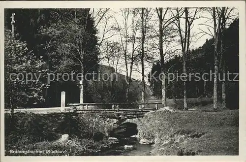 Benneckenstein Brandesbachtal Bruecke Kat. Benneckenstein