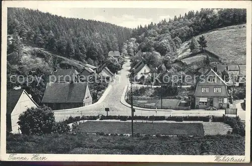 Tanne Harz Waldstrasse Wohnhaeuser Kat. Tanne Harz