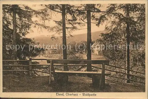 Elend Harz Blick vom Wald aus Kat. Elend Harz