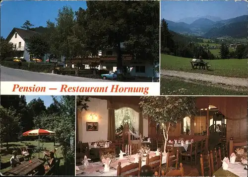 Miesenbach Niederoesterreich Pension Restaurant Hornung Kat. Miesenbach