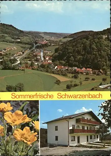 Schwarzenbach Niederoesterreich Haus Bucheneck Kat. Schwarzenbach