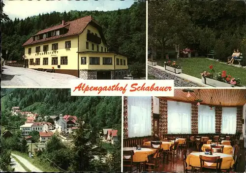 Trattenbach Alpengasthof SCHABAUER Kat. Trattenbach