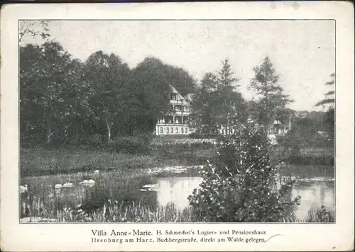 Ilsenburg Harz Villa Anne-Marie