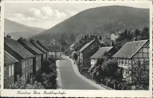 Ilsenburg Harz Buchbergstrasse