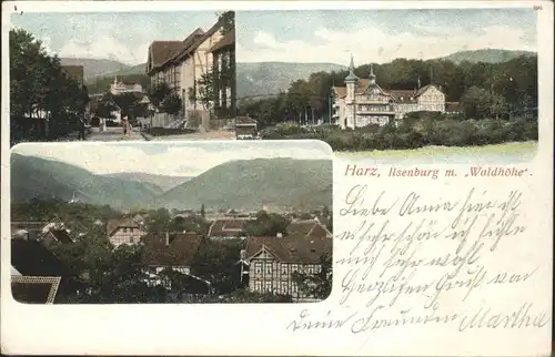 Ilsenburg Harz Hotel Waldhoehe