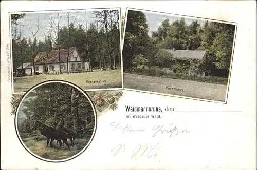 Werdau Sachsen Waidmannsruhe Restauration Hirsche Forsthaus Kat. Werdau