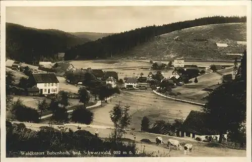 Bubenbach Gasthof Pension zum Adler O.Isele Kat. Eisenbach (Hochschwarzwald)