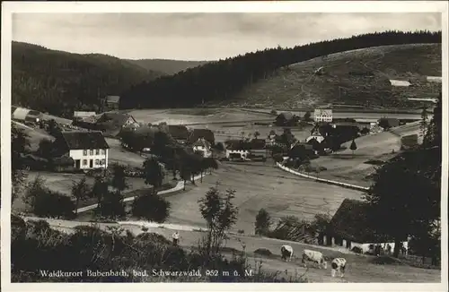 Bubenbach Gasthof Pension Zum Adler Kat. Eisenbach (Hochschwarzwald)