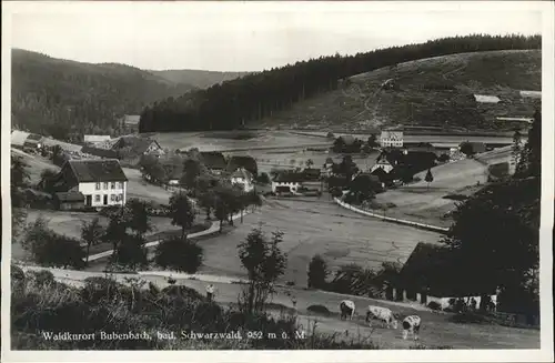 Bubenbach Gasthof Pension Adler  Kat. Eisenbach (Hochschwarzwald)