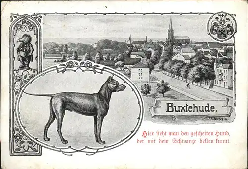 Buxtehude Hund Igel  Kat. Buxtehude