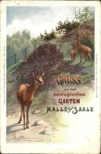 Halle Saale Zoologischer Garten Kuenstlerkarte Kat. Halle