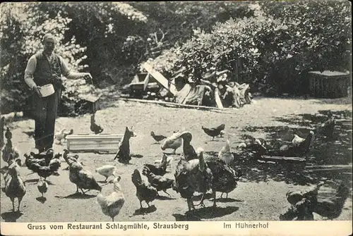 Strausberg Brandenburg Restaurant Schlagmuehle im Huehnerhof Kat. Strausberg