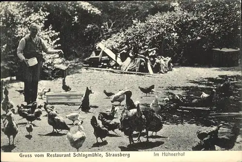 Strausberg Brandenburg Restaurant Schlagmuehle im Huehnerhof Kat. Strausberg