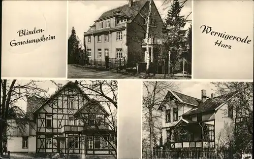 wz36350 Wernigerode Harz Blinden-Genesungsheim Kategorie. Wernigerode Alte Ansichtskarten