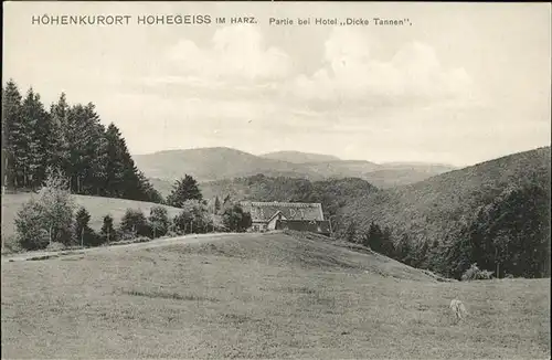 Hohegeiss Harz Hoehenkurort Partie am Hotel "Dicke Tannen" Kat. Braunlage