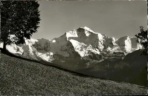 Beatenberg Panorama mit Jungfrau und Ebenfluh Berner Alpen Kat. Beatenberg