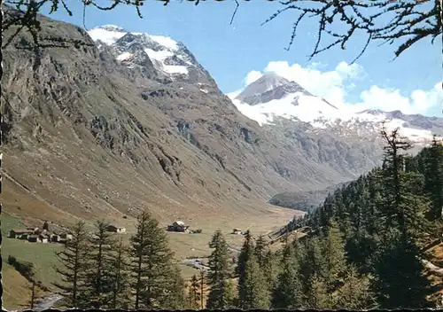 Fextal Blick gegen Curtins Hotel Fex Chapuetschin Piz Tremoggia Oberengadin Kat. Sils Maria