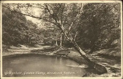 Grayshott Golden Valley Woodcock Bottom Kat. East Hampshire