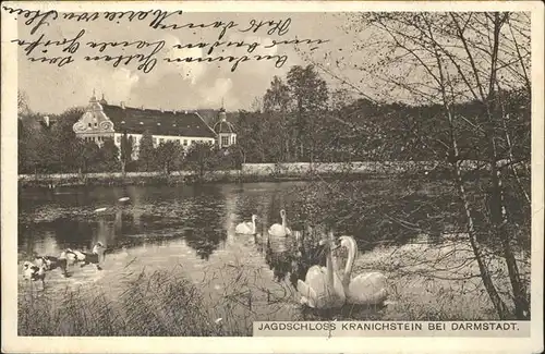 Darmstadt Jagdschloss Kranichstein Schwaene Kat. Darmstadt