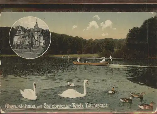 Darmstadt Oberwaldhaus Steinbruecker Teich Kat. Darmstadt