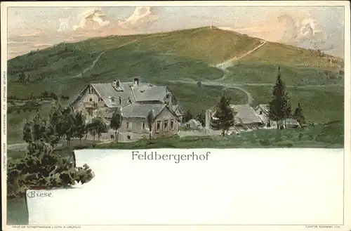 Biese Carl Karl Nr. 2 Feldbergerhof Litho Kat. Kuenstlerlitho